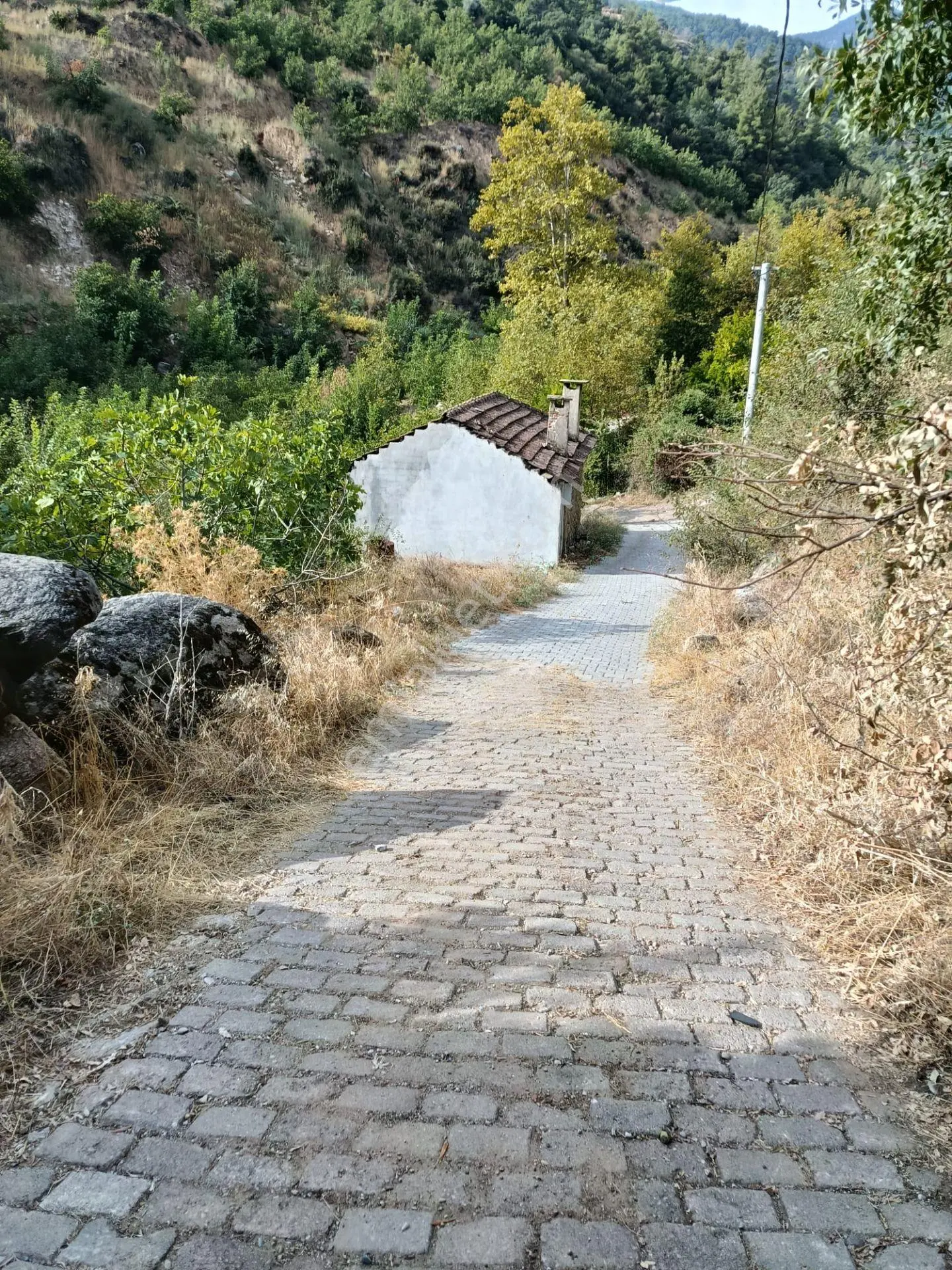 Acarlar Emlaktan Bozdoğan Hıdırbaba Mah Toplam 43750 M2 Satılık Zeytinlik Ve Müstakil Ev — fotoğraf 5