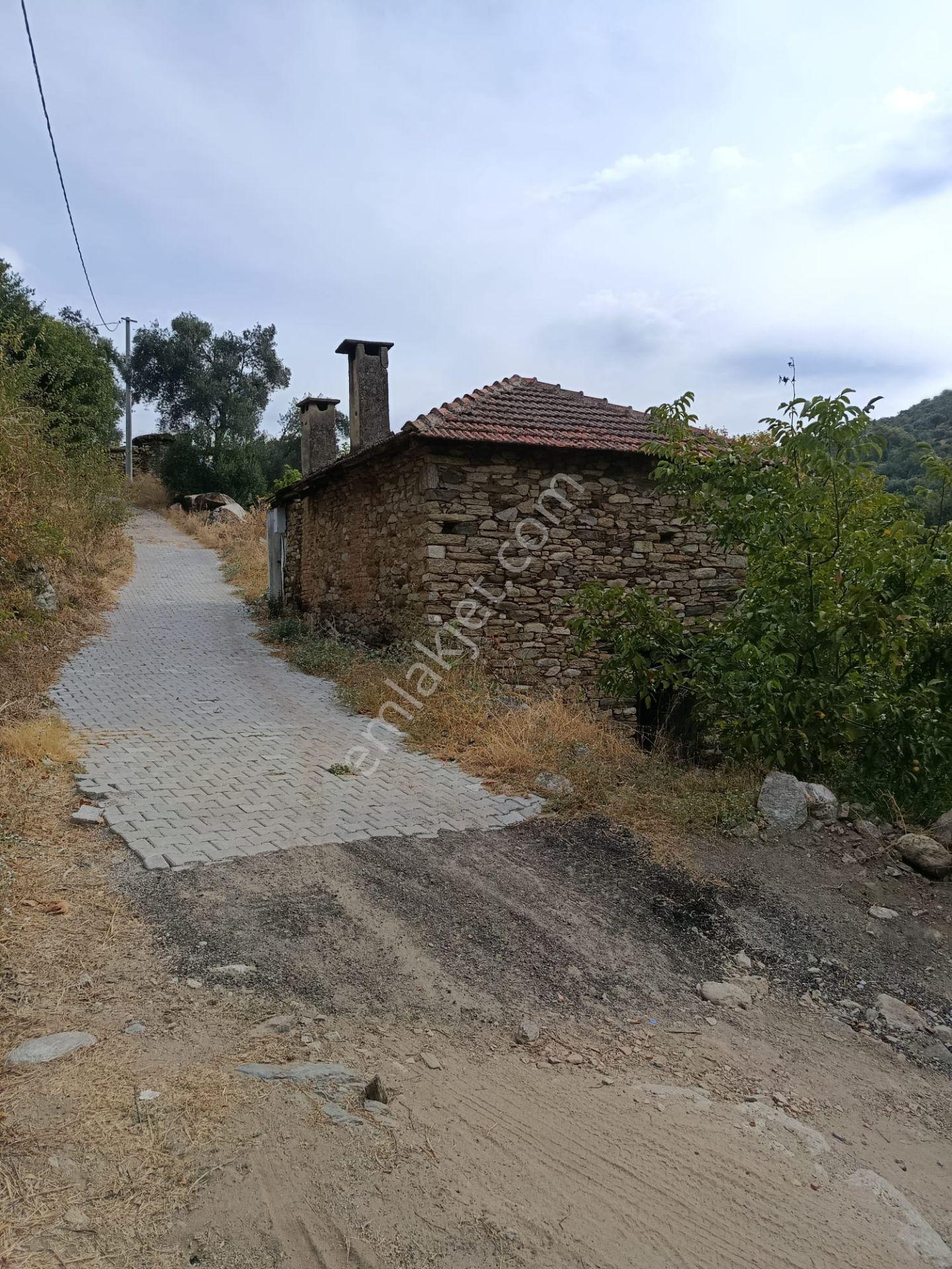 Acarlar Emlaktan Bozdoğan Hıdırbaba Mah Toplam 43750 M2 Satılık Zeytinlik Ve Müstakil Ev — fotoğraf 11
