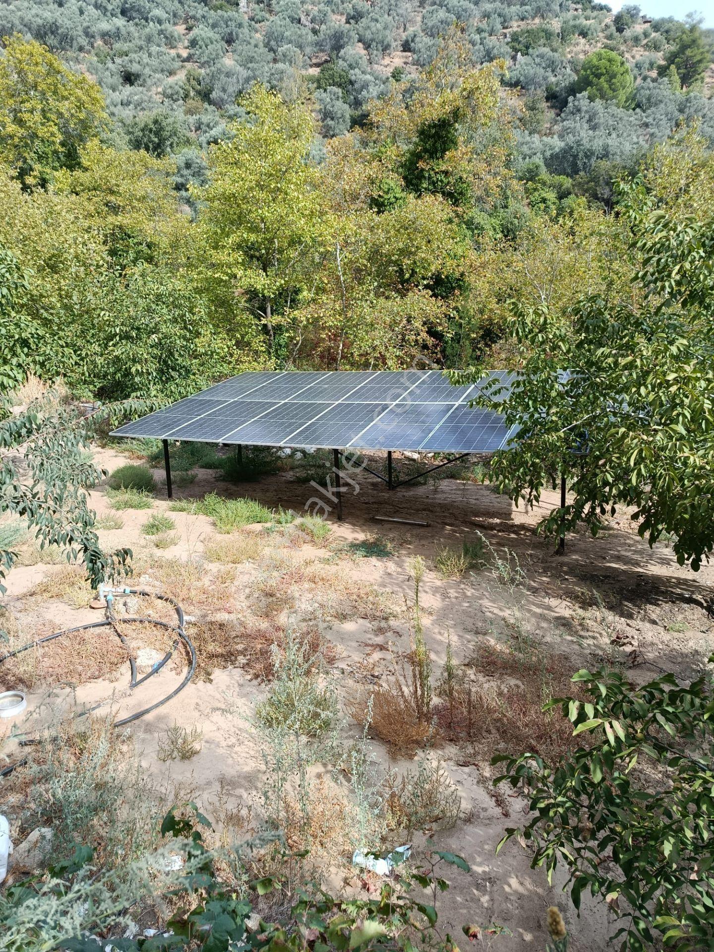 Acarlar Emlaktan Bozdoğan Hıdırbaba Mah Toplam 43750 M2 Satılık Zeytinlik Ve Müstakil Ev — fotoğraf 19