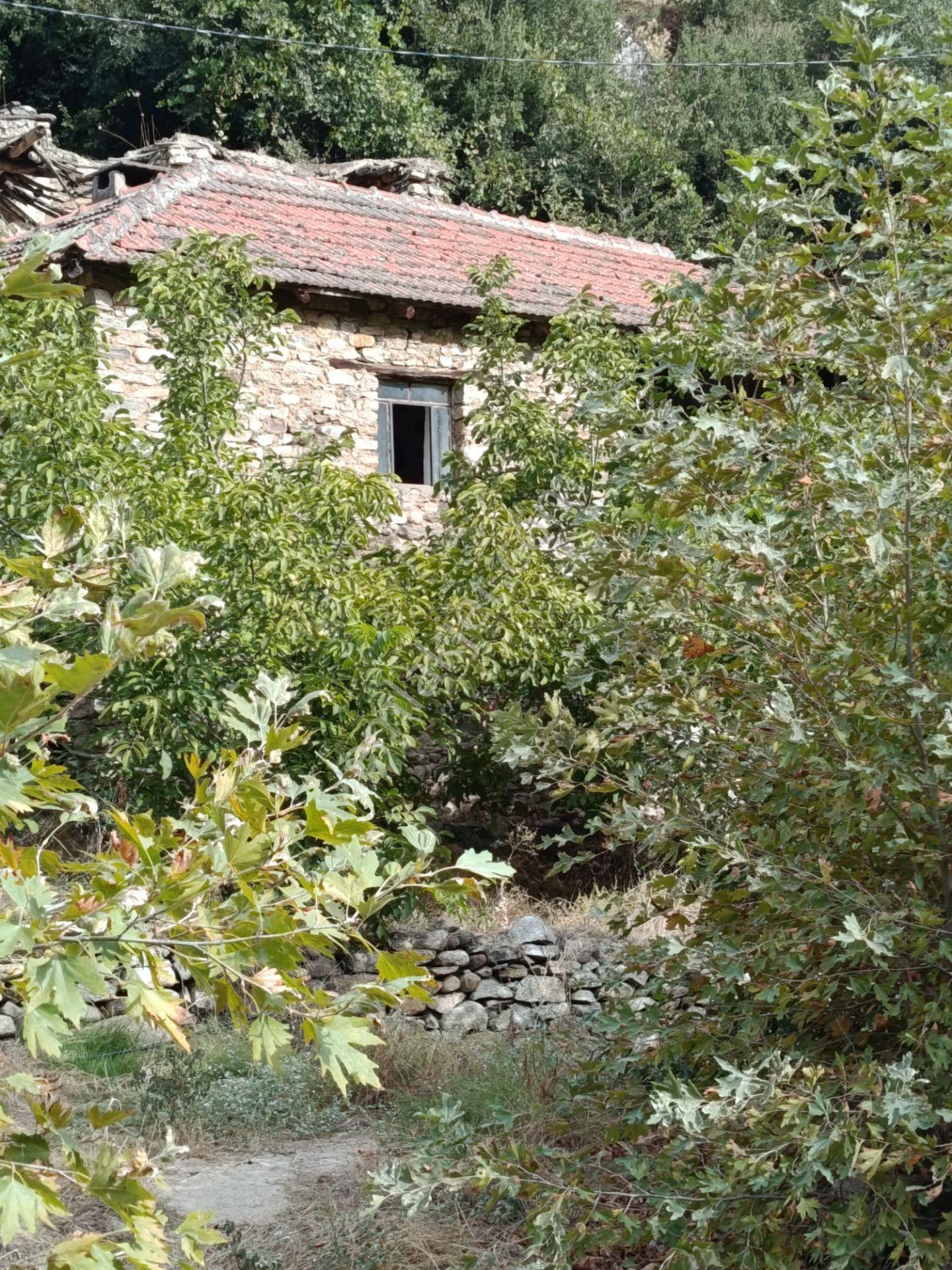 Acarlar Emlaktan Bozdoğan Hıdırbaba Mah Toplam 43750 M2 Satılık Zeytinlik Ve Müstakil Ev — fotoğraf 25
