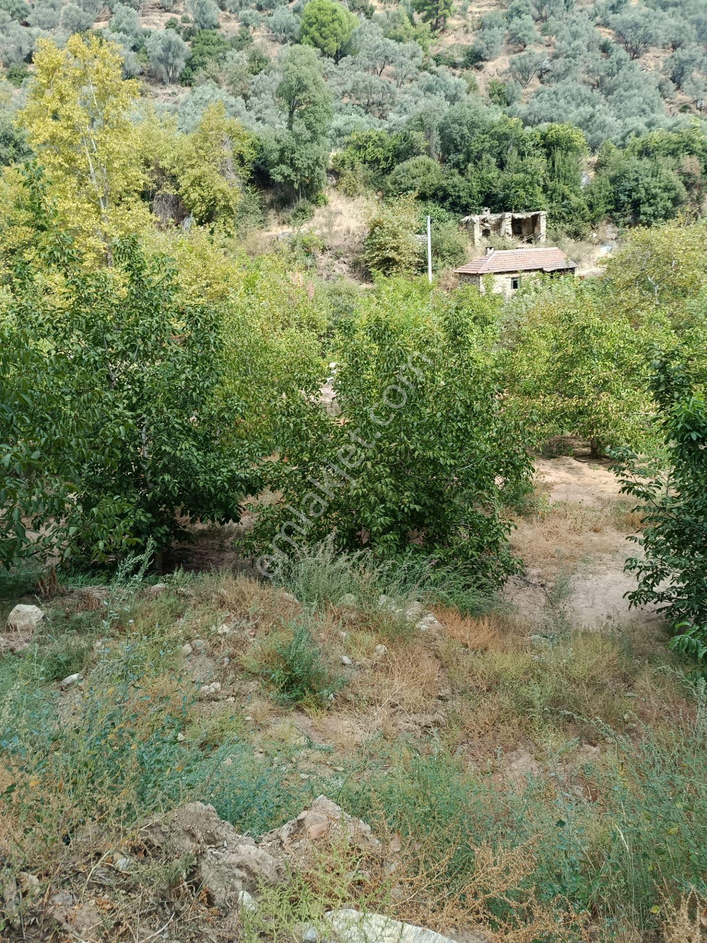 Acarlar Emlaktan Bozdoğan Hıdırbaba Mah Toplam 43750 M2 Satılık Zeytinlik Ve Müstakil Ev — fotoğraf 29