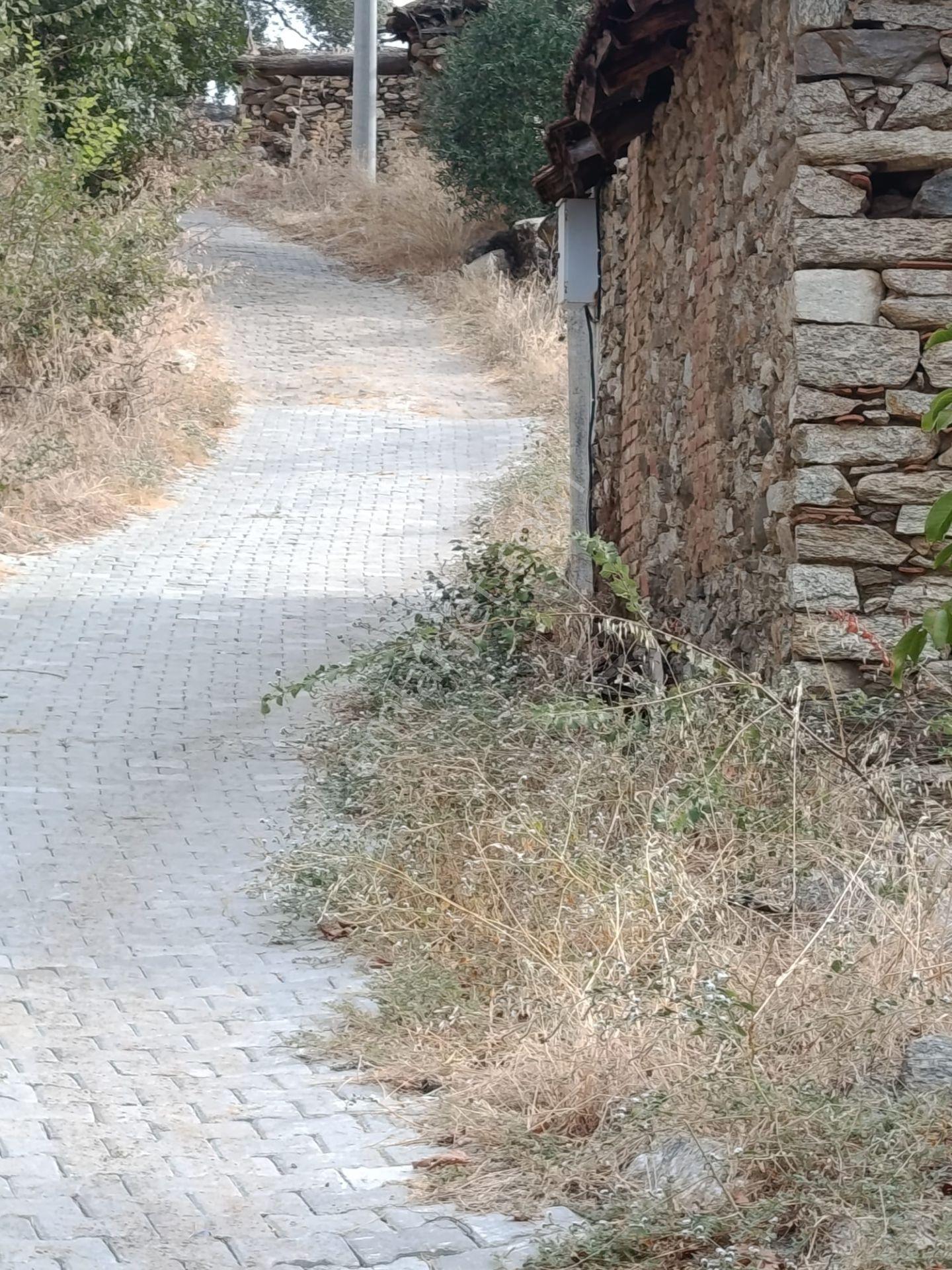 Acarlar Emlaktan Bozdoğan Hıdırbaba Mah Toplam 43750 M2 Satılık Zeytinlik Ve Müstakil Ev — fotoğraf 30