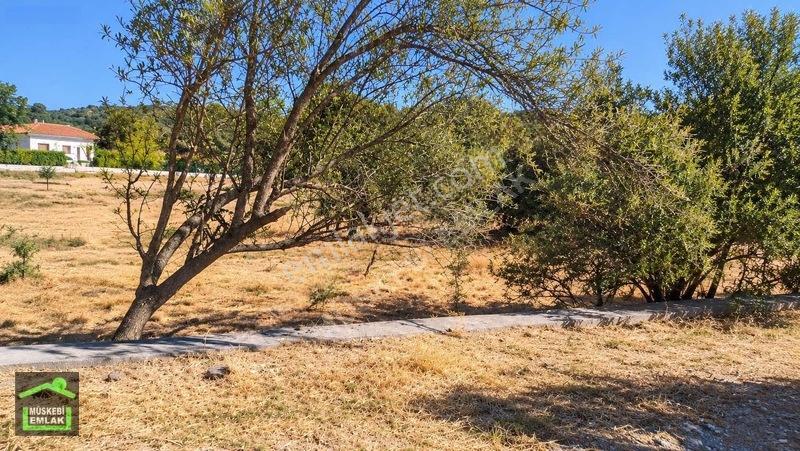 Çanakkale Ayvacık Söğütlü Köyünde Satılık Arsa — fotoğraf 8