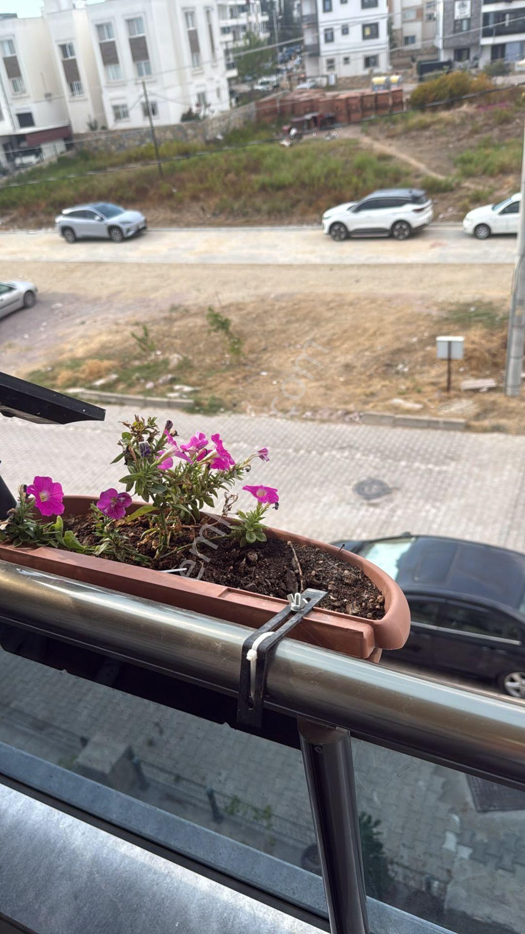 Bodrum'da Satılık Kelepir Daire — fotoğraf 10