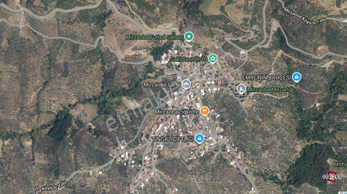 The Point Gayrimenkul 'den Mudanya Mirzaoba’da 1.234 M² Satılık Zeytinlik — fotoğraf 2