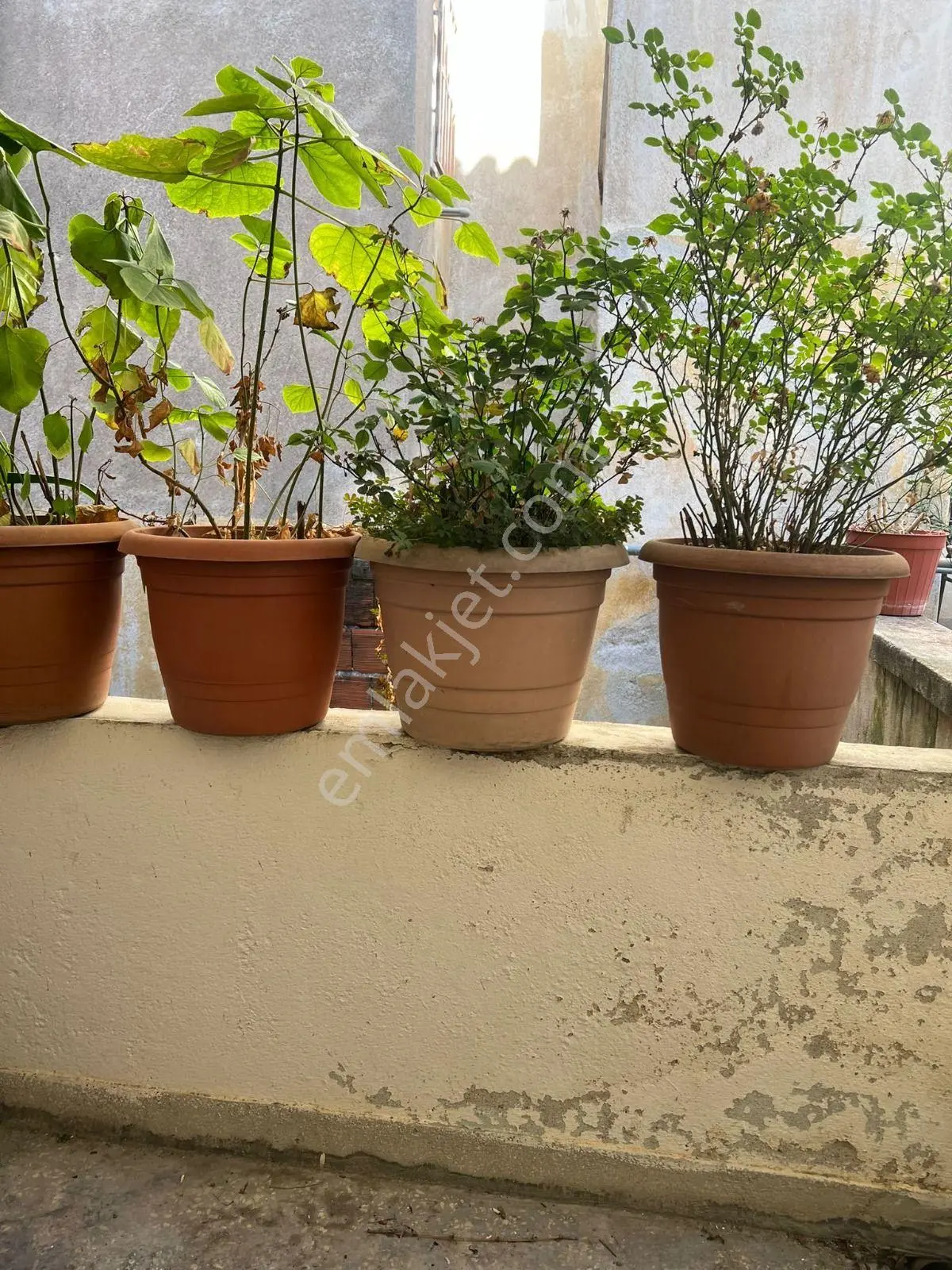 Tire Kurtuluş'ta 240 M² 5+1 Müstakil Ev — fotoğraf 10
