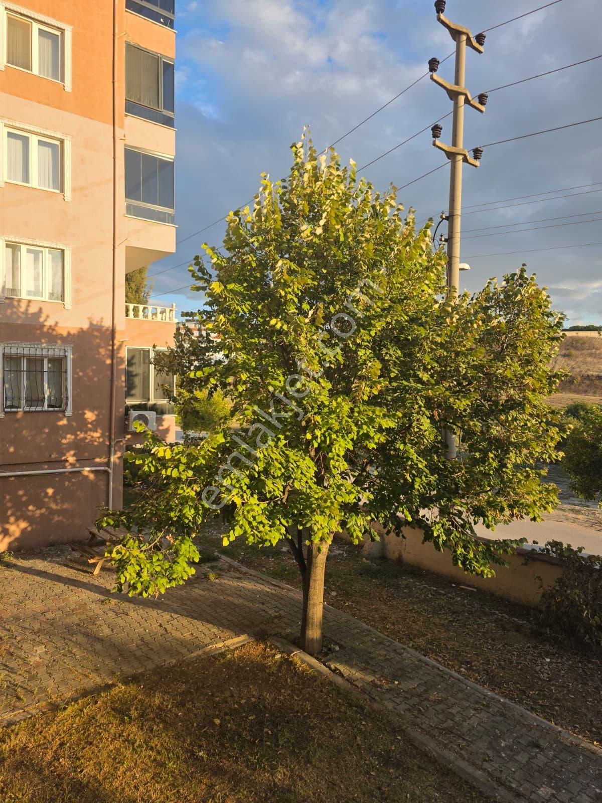 M.k.paşa Cumhuriyet'te Site İçerisinde Satılık 3+1 Daire — fotoğraf 27