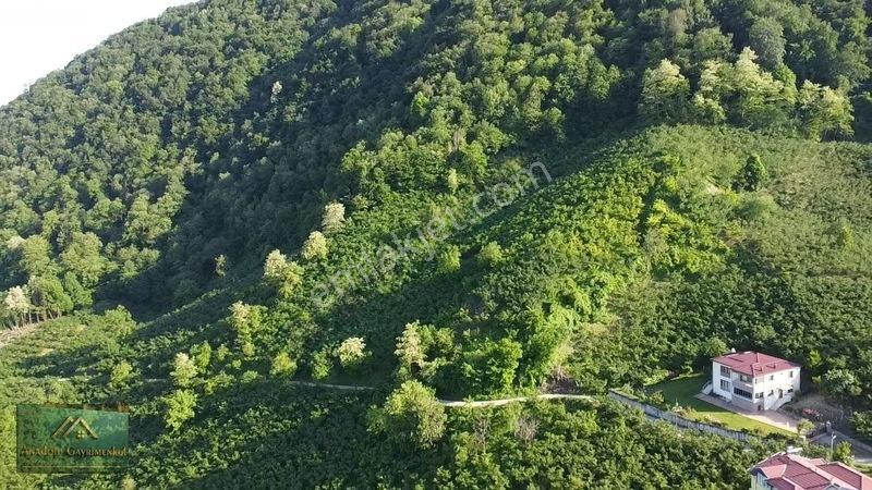 Anadolu'dan Ulubey Cevizlik Mahallesi'nde Satılık 3.5 Dönüm — fotoğraf 2