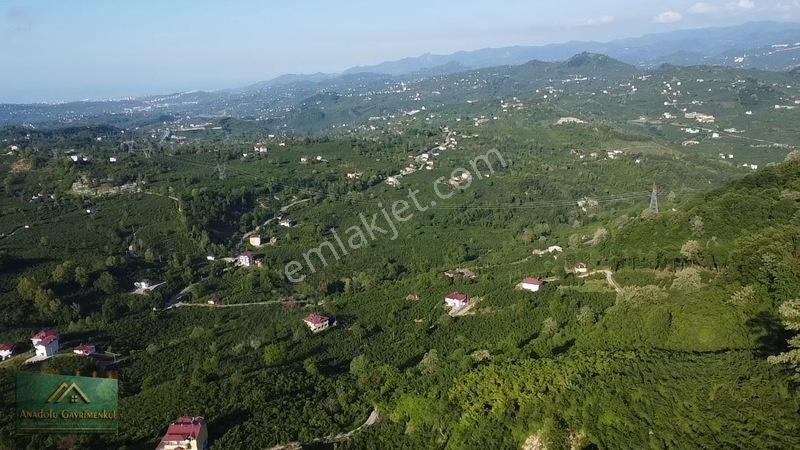 Anadolu'dan Ulubey Cevizlik Mahallesi'nde Satılık 3.5 Dönüm — fotoğraf 3