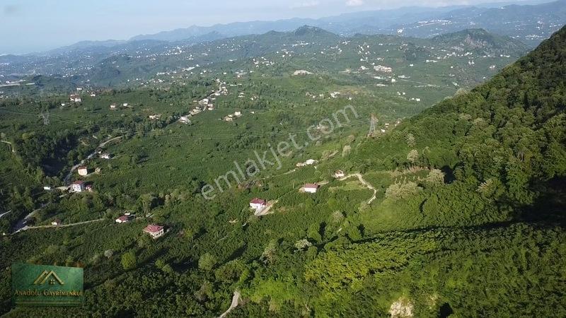 Anadolu'dan Ulubey Cevizlik Mahallesi'nde Satılık 3.5 Dönüm — fotoğraf 4