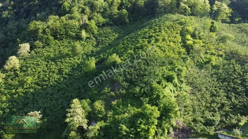Anadolu'dan Ulubey Cevizlik Mahallesi'nde Satılık 3.5 Dönüm — fotoğraf 5