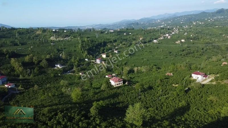 Anadolu'dan Ulubey Cevizlik Mahallesi'nde Satılık 3.5 Dönüm — fotoğraf 6