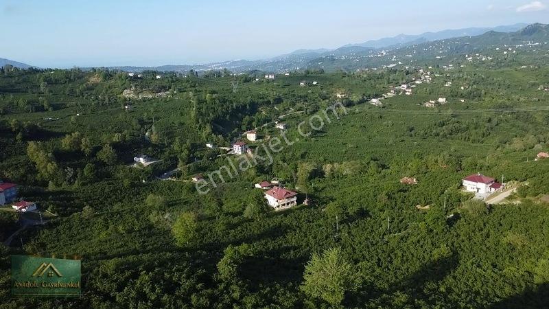 Anadolu'dan Ulubey Cevizlik Mahallesi'nde Satılık 3.5 Dönüm — fotoğraf 7