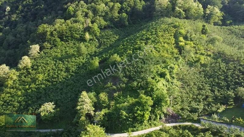 Anadolu'dan Ulubey Cevizlik Mahallesi'nde Satılık 3.5 Dönüm — fotoğraf 8