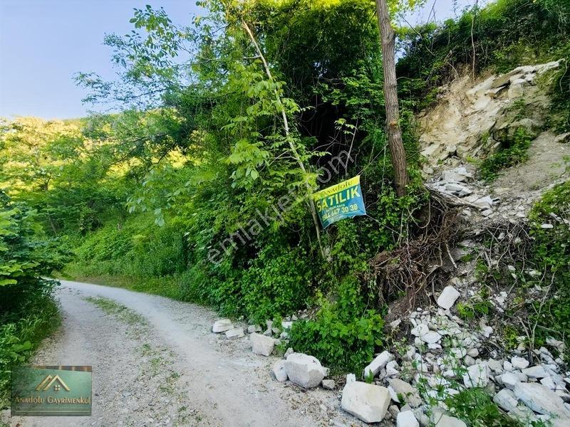 Anadolu'dan Ulubey Cevizlik Mahallesi'nde Satılık 3.5 Dönüm — fotoğraf 11