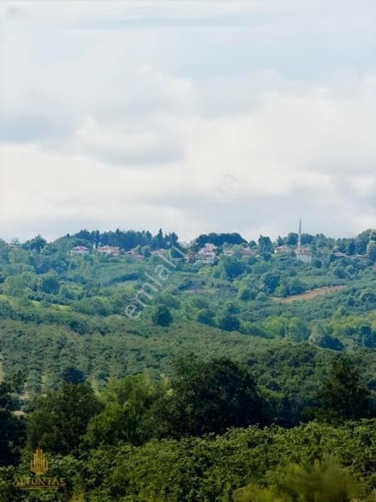 Kandıra Hediyelide Göl Manzaralı Satılık Tarla — fotoğraf 12