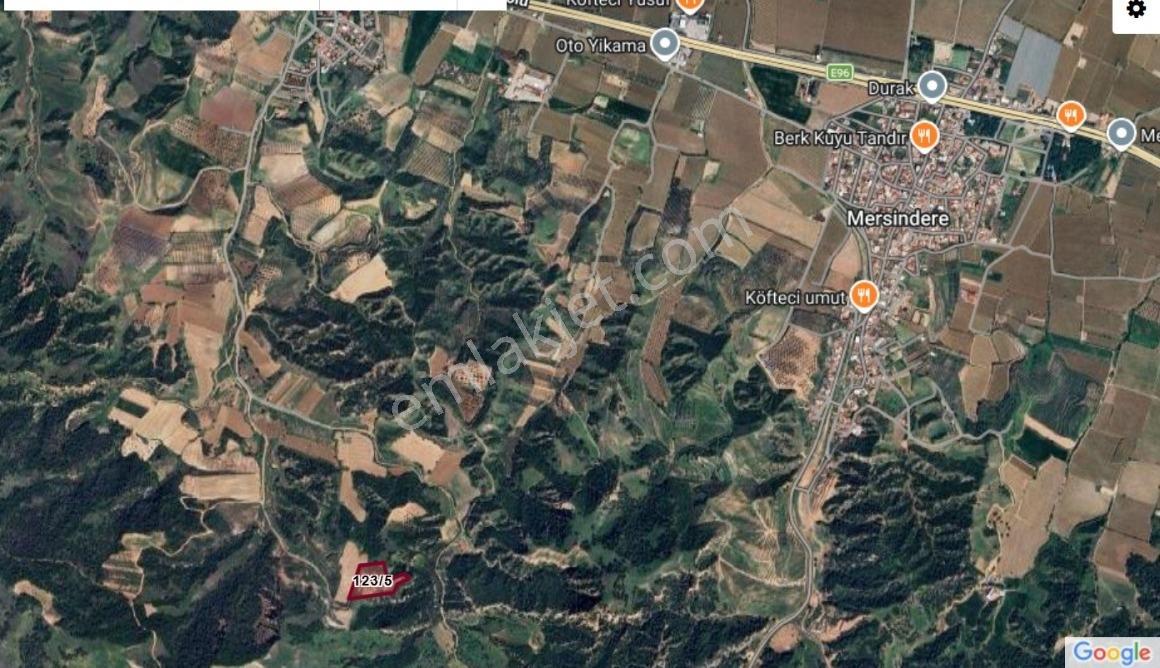 Manisa Ahmetli Derekey Mahallesinde Satılık 11.086 M2 Zeytinlik — fotoğraf 2