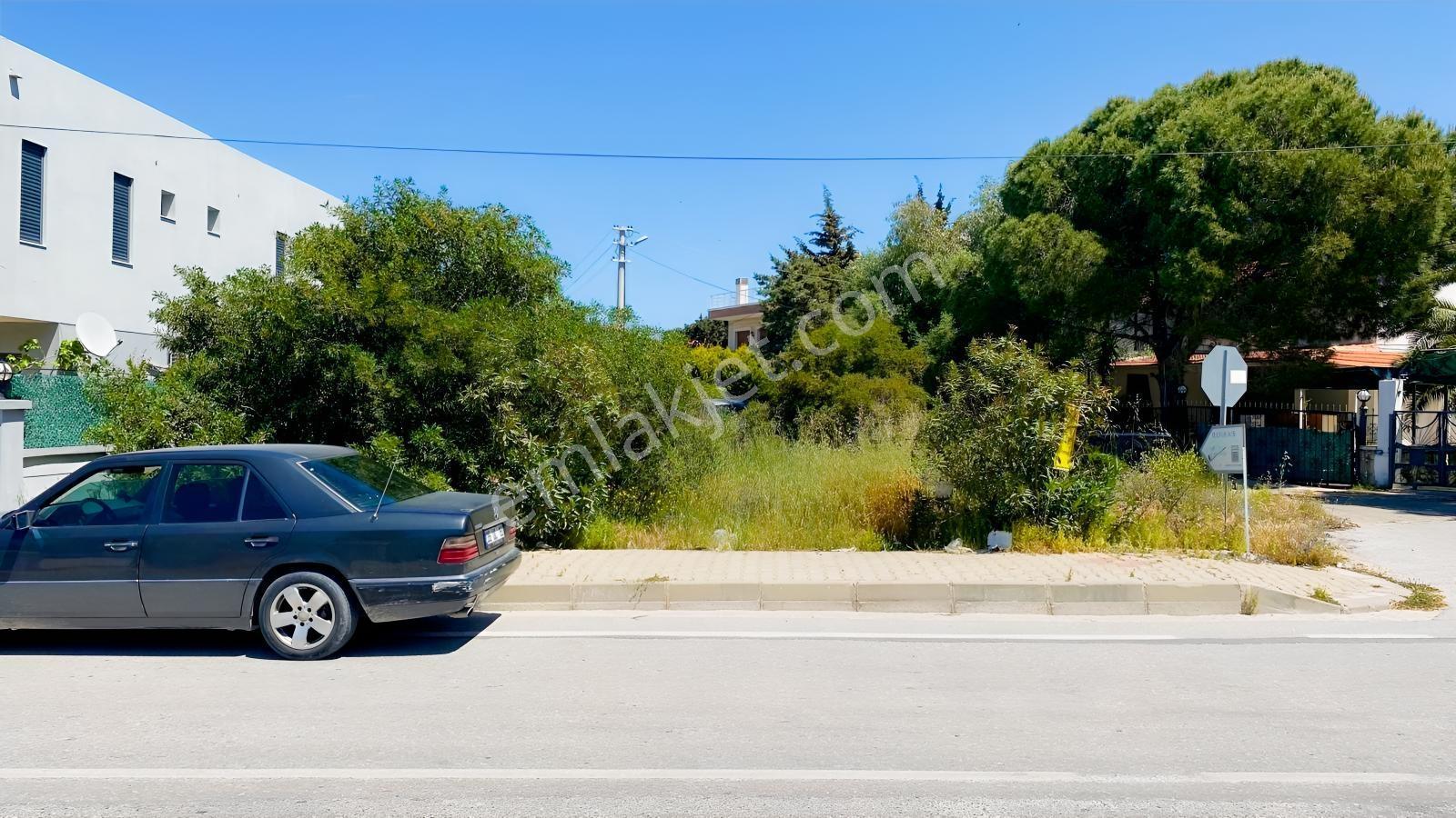 Çeşme'nin En Güzel Yerlerinden Alaçatı Yakını Reisdere'de Arsa — fotoğraf 11