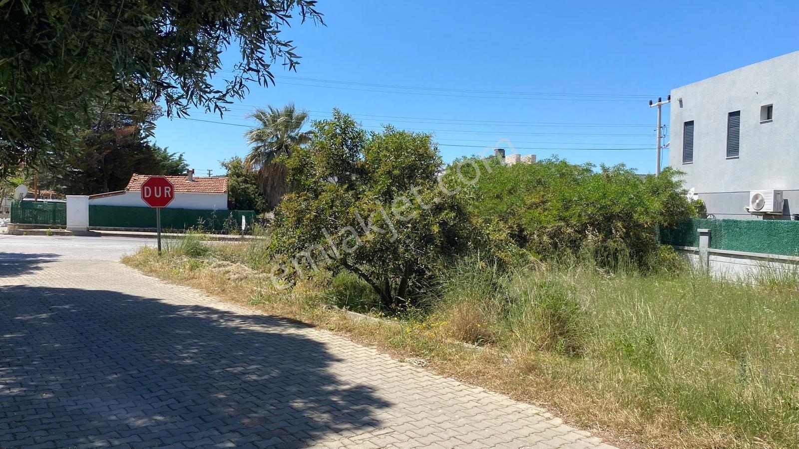 Çeşme'nin En Güzel Yerlerinden Alaçatı Yakını Reisdere'de Arsa — fotoğraf 12