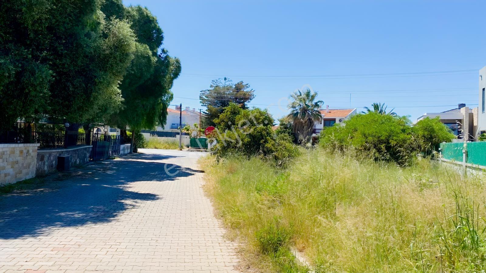 Çeşme'nin En Güzel Yerlerinden Alaçatı Yakını Reisdere'de Arsa — fotoğraf 22