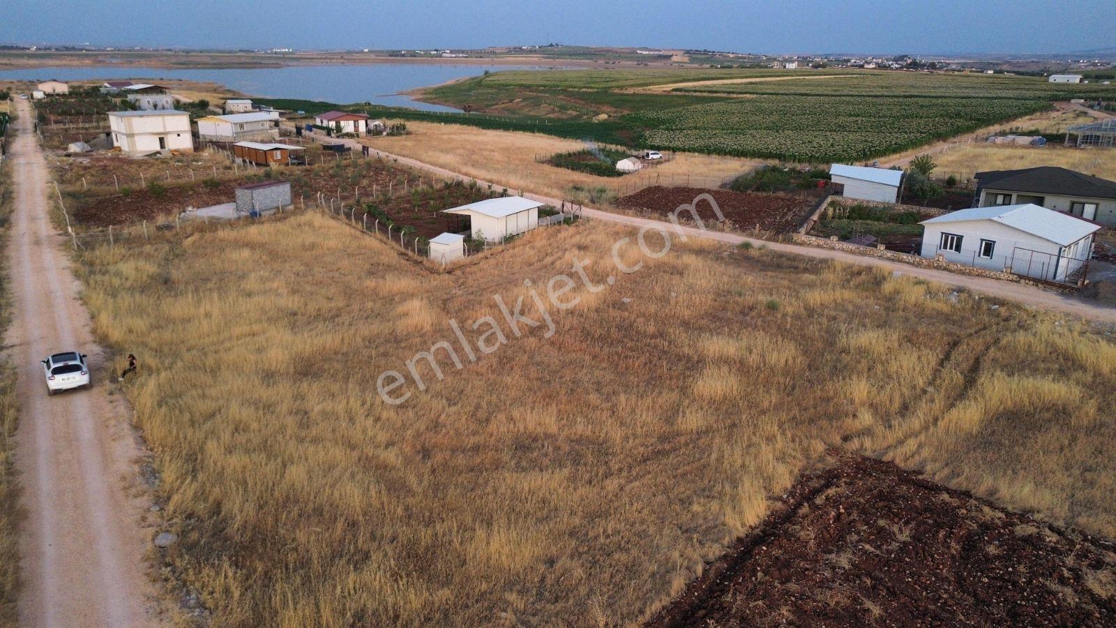 Dmz Gm Ayşe Demez'den Börgenek'te Satılık Bağevi Yeri — fotoğraf 8