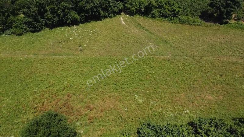 Karapürçek Merkezde Karakol Yanında İmarlı Fırsat Arsa — fotoğraf 7