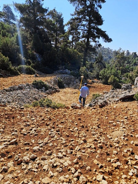 Savaş Emlak'tan Satılık Silifke,bayındırda 2694 M2 — fotoğraf 3