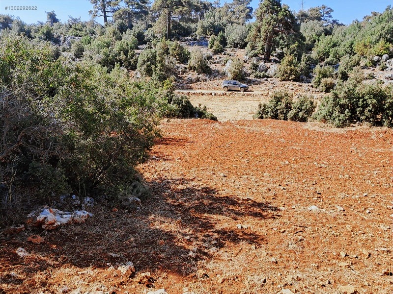 Savaş Emlak'tan Satılık Silifke,bayındırda 2694 M2 — fotoğraf 4