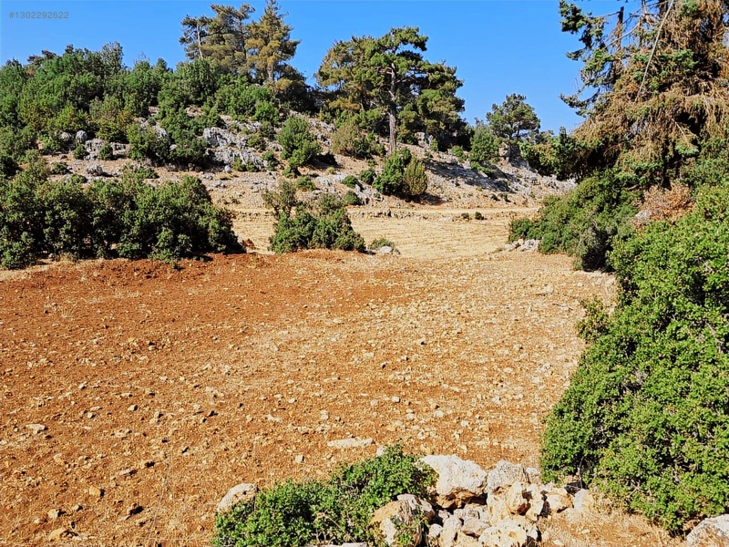 Savaş Emlak'tan Satılık Silifke,bayındırda 2694 M2 — fotoğraf 5