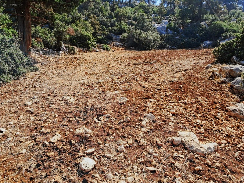 Savaş Emlak'tan Satılık Silifke,bayındırda 2694 M2 — fotoğraf 6