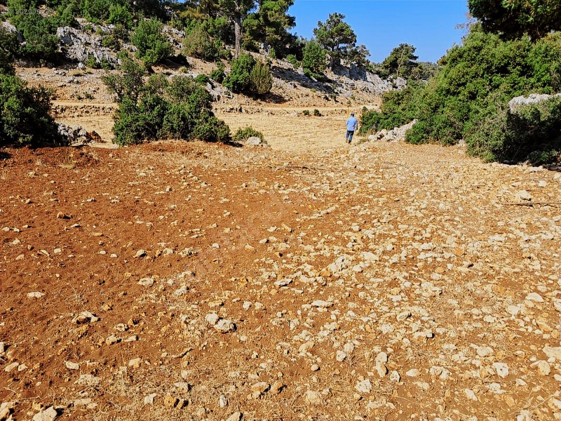 Savaş Emlak'tan Satılık Silifke,bayındırda 2694 M2 — fotoğraf 7