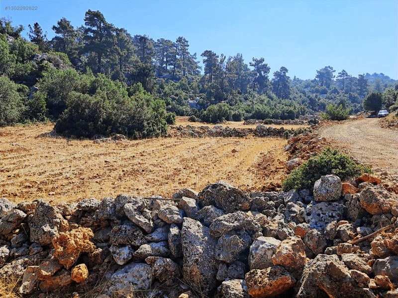 Savaş Emlak'tan Satılık Silifke,bayındırda 2694 M2 — fotoğraf 8