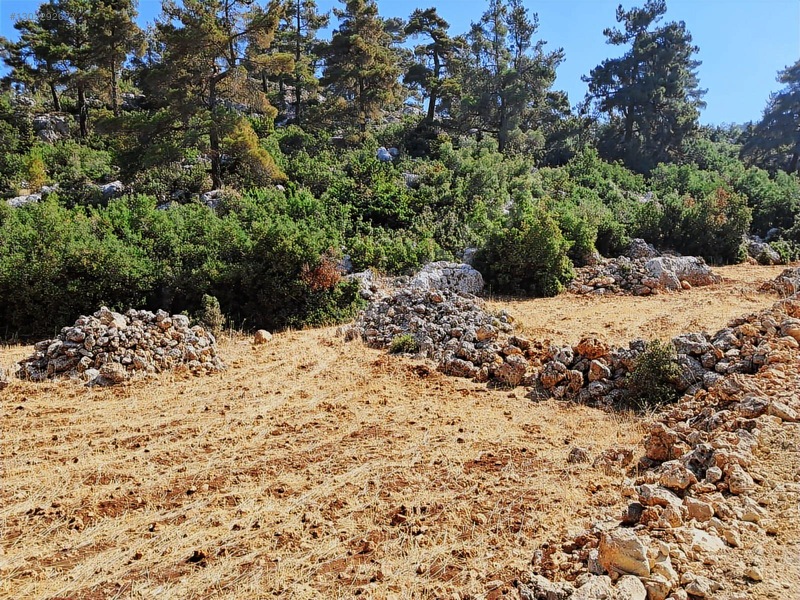Savaş Emlak'tan Satılık Silifke,bayındırda 2694 M2 — fotoğraf 9