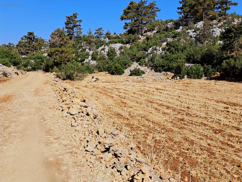 Savaş Emlak'tan Satılık Silifke,bayındırda 2694 M2 — fotoğraf 10