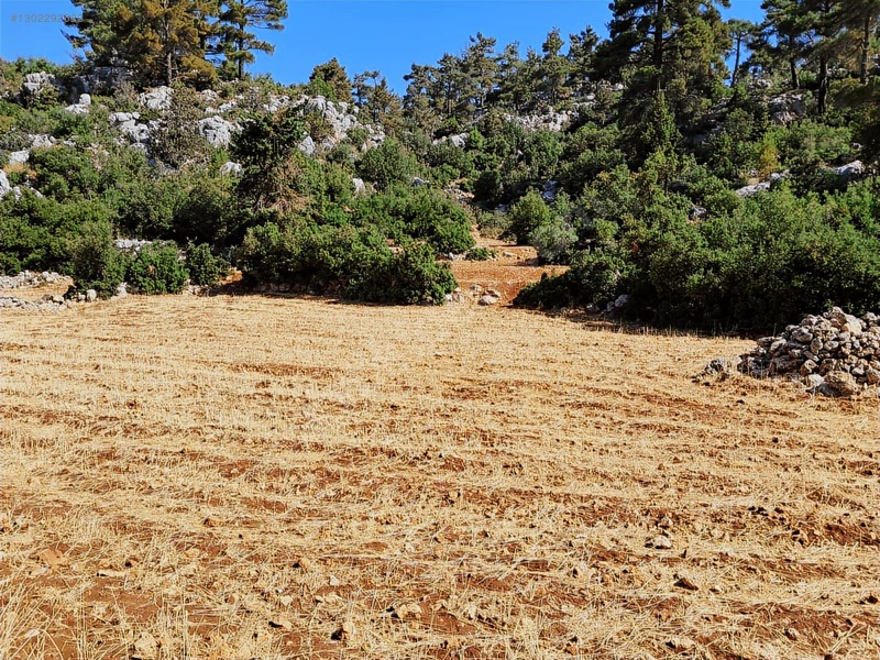Savaş Emlak'tan Satılık Silifke,bayındırda 2694 M2 — fotoğraf 11