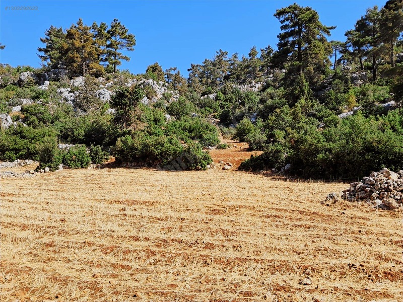 Savaş Emlak'tan Satılık Silifke,bayındırda 2694 M2 — fotoğraf 12