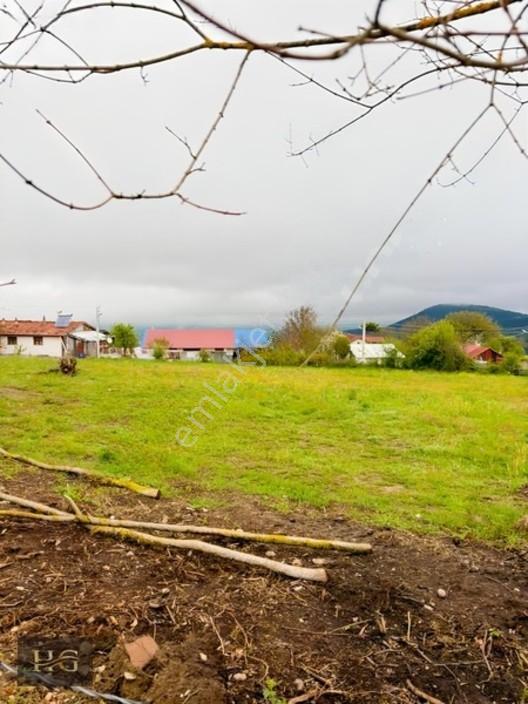 Villalık Arazi — fotoğraf 2