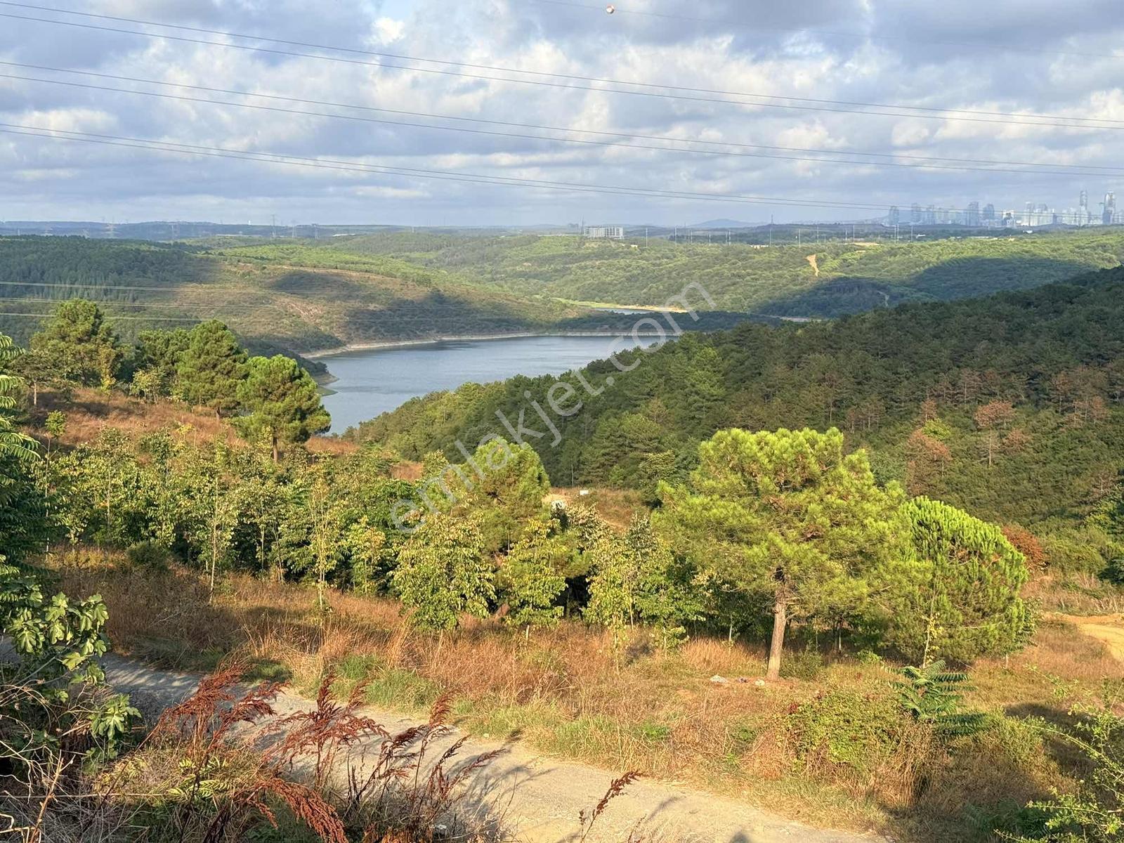 Mercan Emlak'tan 300 M2 Arsa Üzerine Doğa İle İç İçe Müstakil Ev — fotoğraf 4