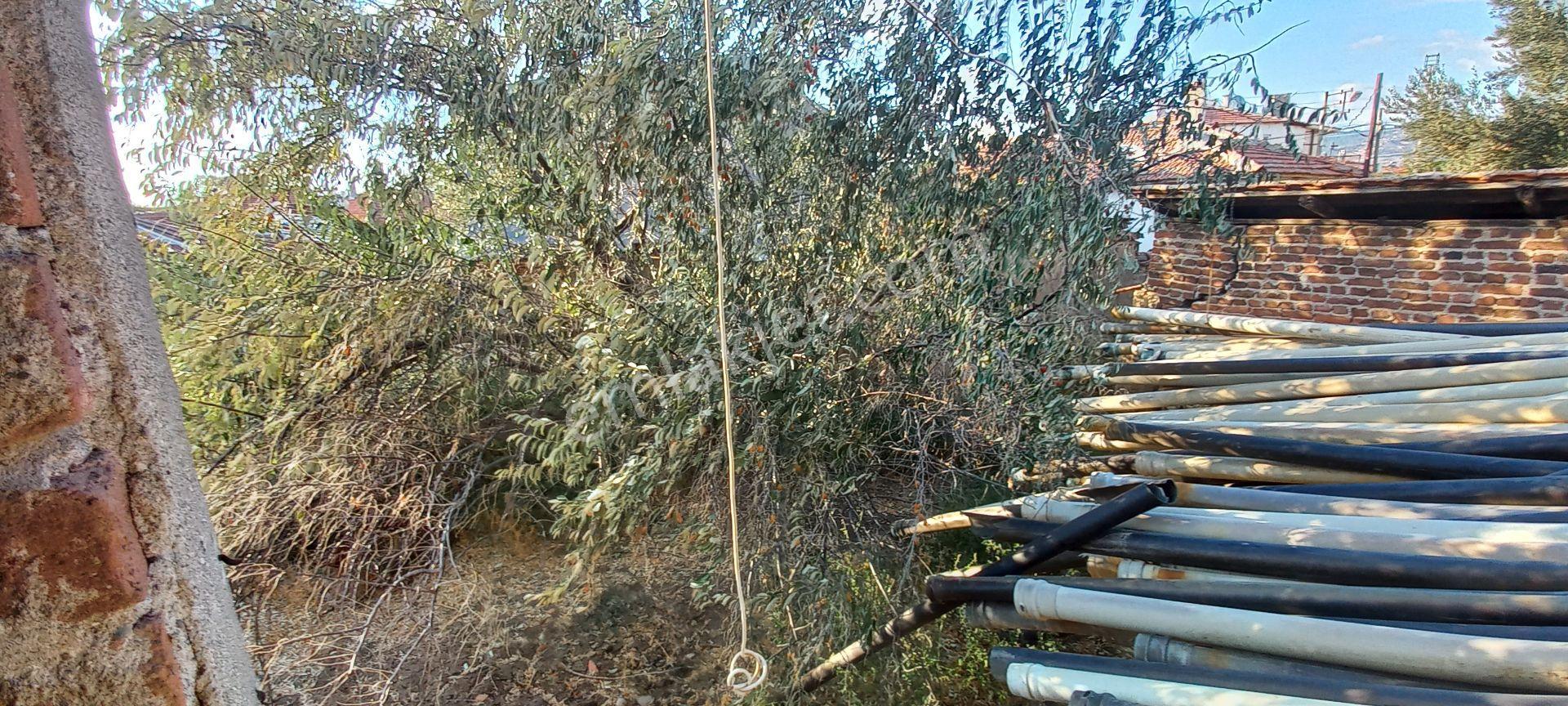 Satılık Müstakiltapu — fotoğraf 22
