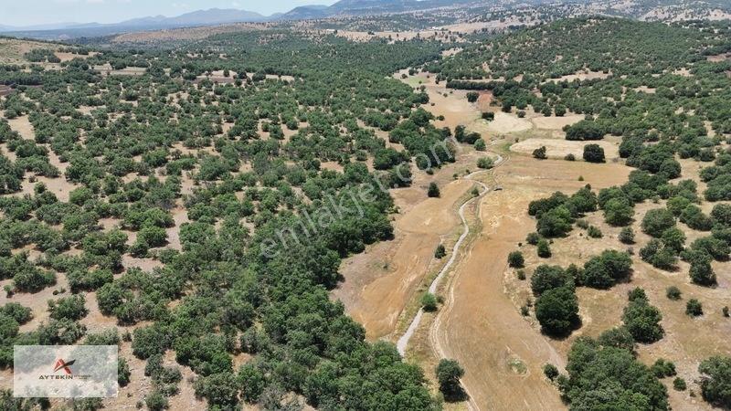 Konya Meram Kilistra Mahallesinde 3.308M² Müstakil Tapulu Arazi