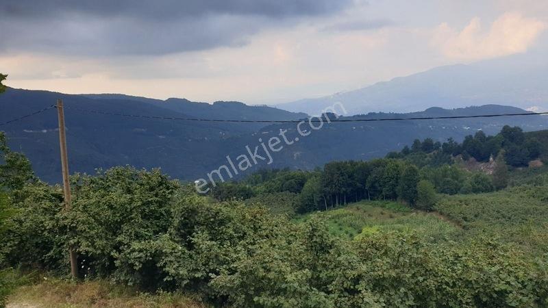 Parselasyona Uygun İmarlı Fırsat Arsa — fotoğraf 2