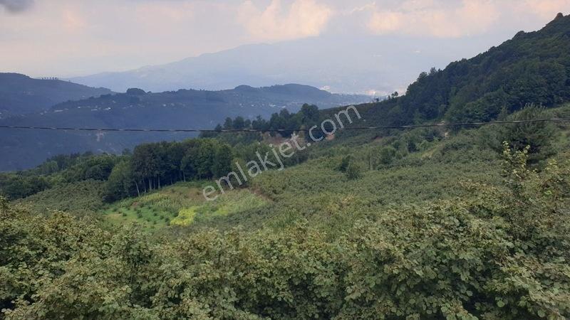 Parselasyona Uygun İmarlı Fırsat Arsa — fotoğraf 3
