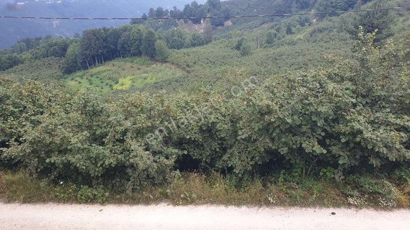 Parselasyona Uygun İmarlı Fırsat Arsa — fotoğraf 4