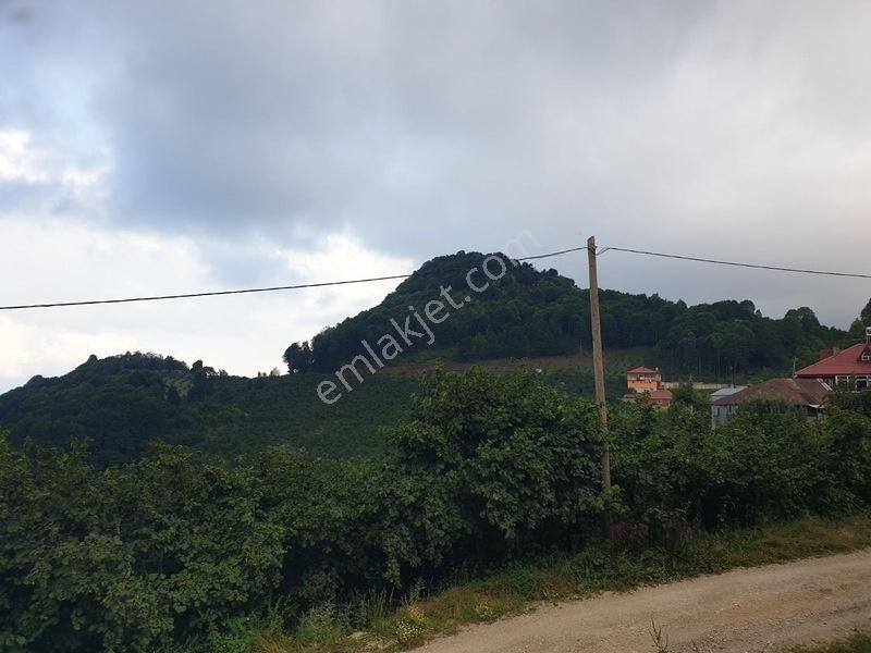 Parselasyona Uygun İmarlı Fırsat Arsa — fotoğraf 5