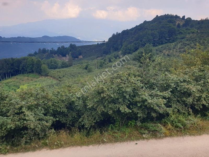 Parselasyona Uygun İmarlı Fırsat Arsa — fotoğraf 6