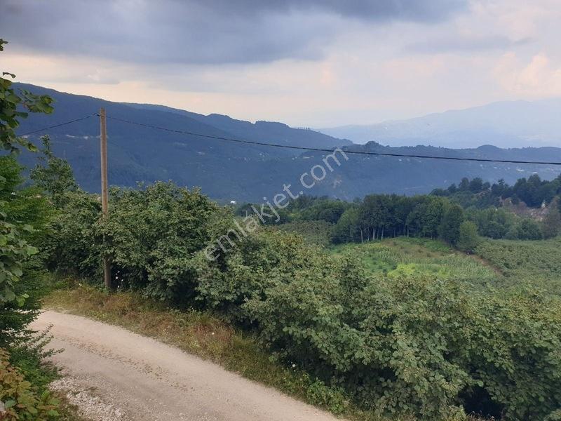 Parselasyona Uygun İmarlı Fırsat Arsa — fotoğraf 7