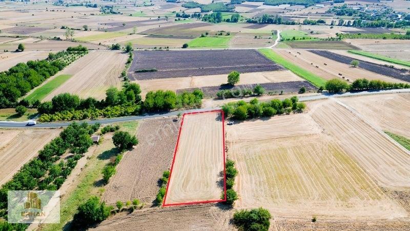 Kırklareli Vize Pazarlı Köyü Asfalta Cephe 3.359M2 Arazi