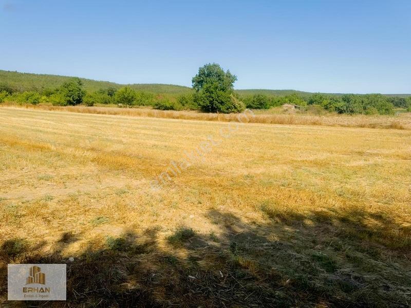 Kırklareli Vize Pazarlı Köyü Asfalta Cephe 3.359m2 Arazi — fotoğraf 16