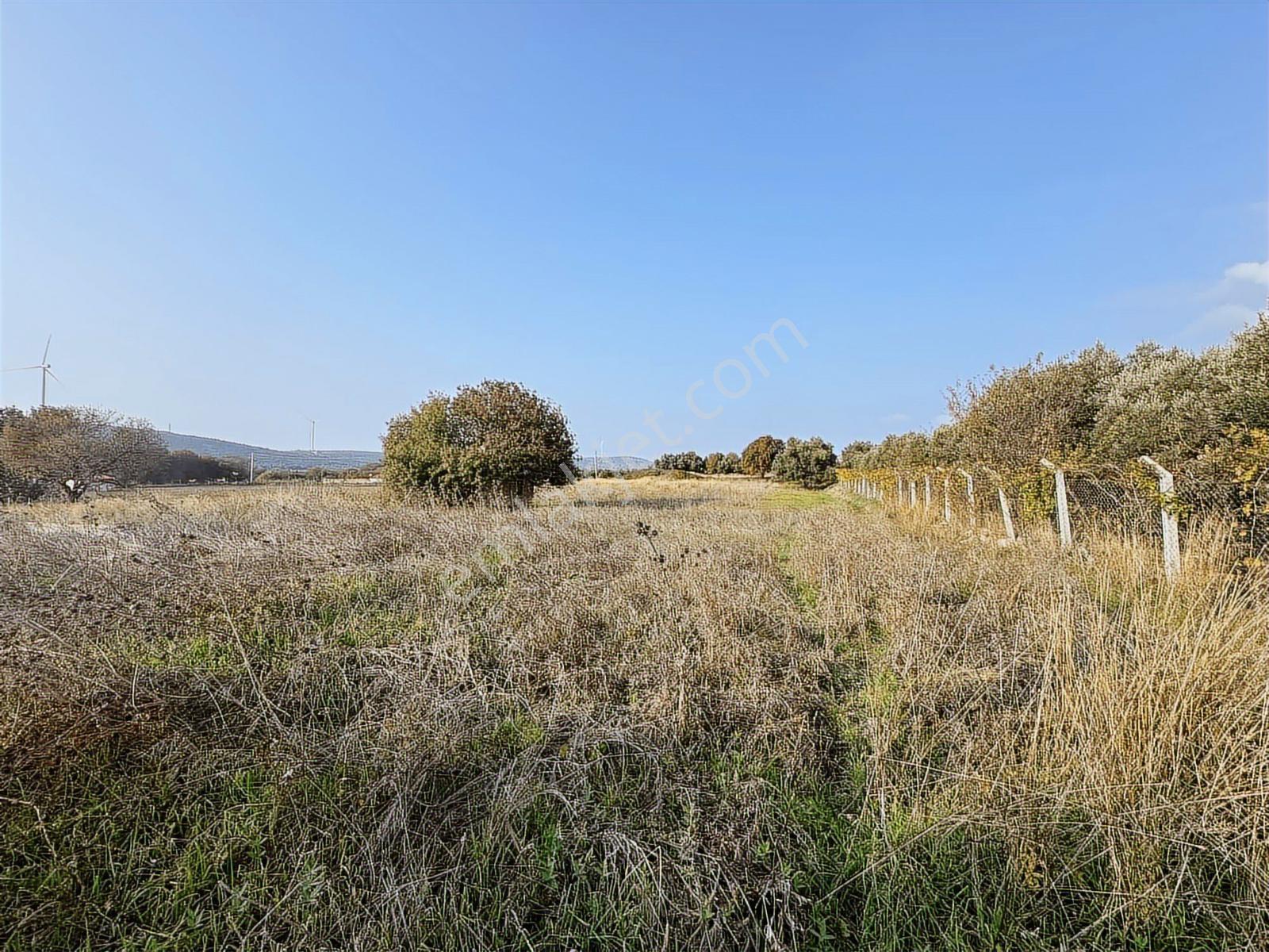 Çeşme Ovacık Musalla Mahallesinde 3482 M2 Yatırımlık Tarla — fotoğraf 2
