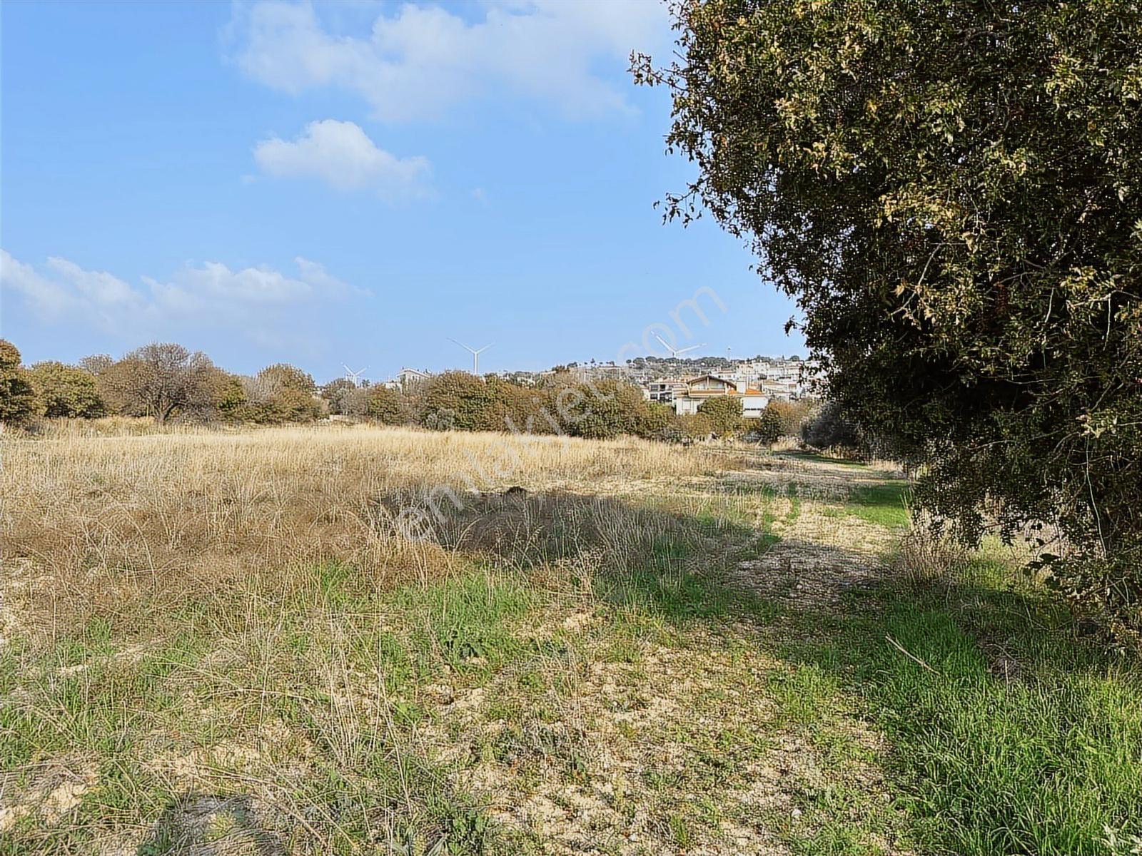 Çeşme Ovacık Musalla Mahallesinde 3482 M2 Yatırımlık Tarla — fotoğraf 3